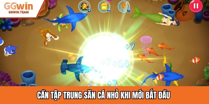 Cần tập trung săn cá nhỏ khi mới bắt đầu
