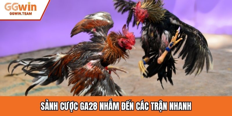 Sảnh cược GA28 nhắm đến các trận nhanh