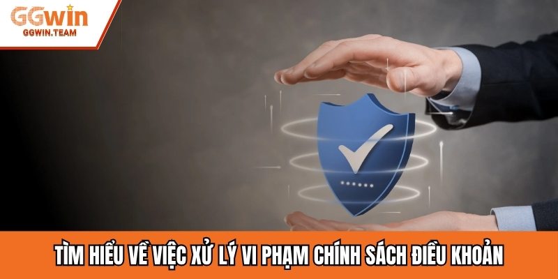 Tìm hiểu về việc xử lý vi phạm chính sách điều khoản
